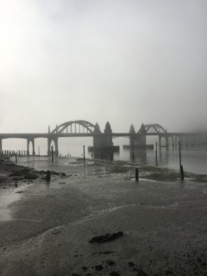 bridge fog