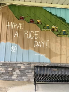 Have a Rice Day Mural in Katy TX by Johnny Nelson
