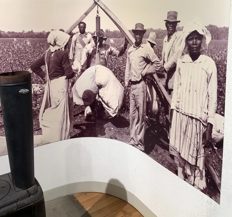 Cotton Pickers from Long Ago
