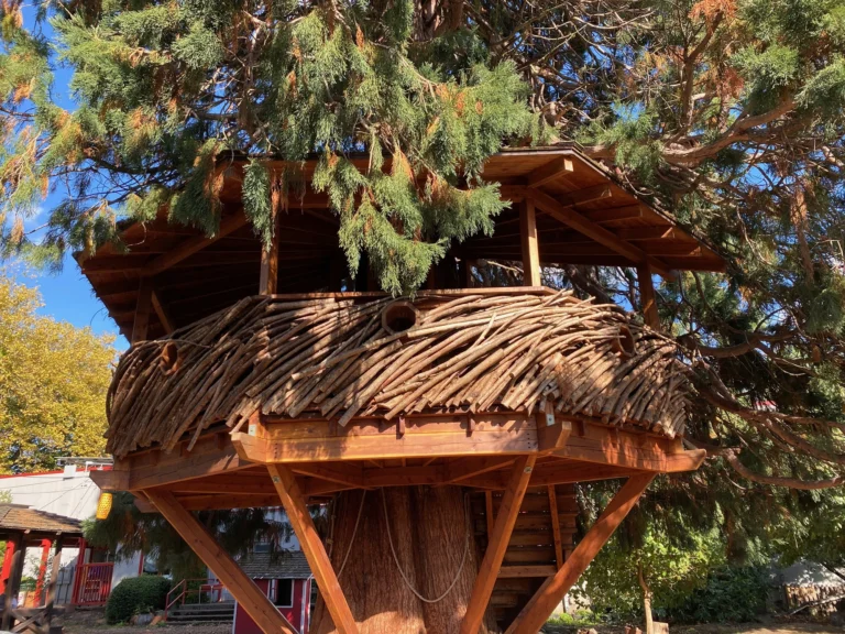 Treehouse in Portland Oregon Redwood Tree
