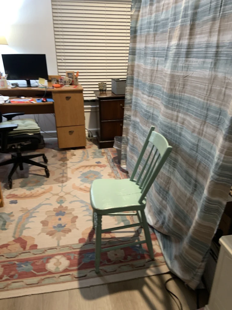 Shower curtain used to split home office space between roommates.