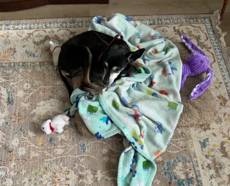 Fargo Glover on the job as Office Assistant.