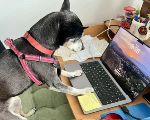 Fargo Glover, Ruth Glover's Office Assistant